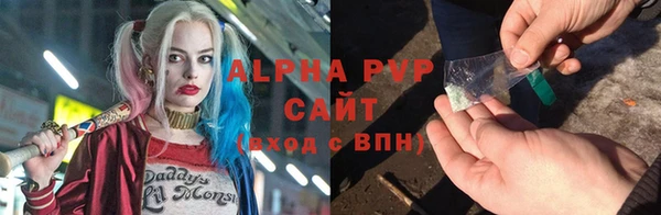 молекула духа Богородицк
