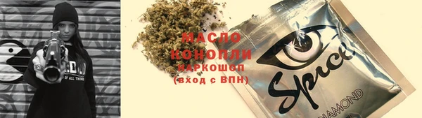 молекула духа Богородицк