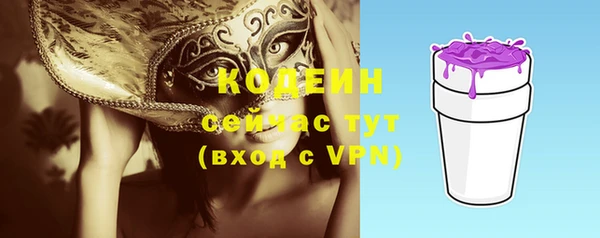 молекула духа Богородицк