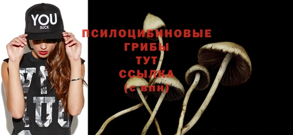 молекула духа Богородицк