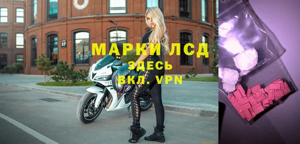 молекула духа Богородицк