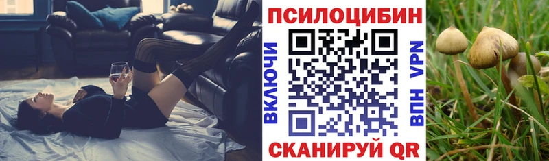 Купить где  Кубинка  Псилоцибиновые грибы Magic Shrooms 
